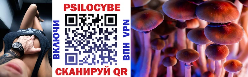 наркота  Аткарск  Псилоцибиновые грибы прущие грибы 